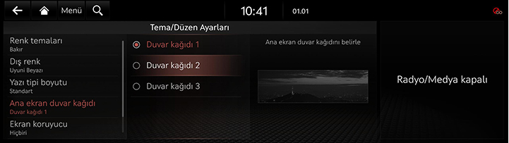 9_SETUP_10_THEME_4_HOME_TUR.jpg