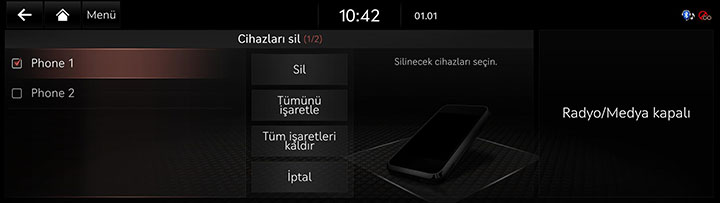 8_PHONE_02_PAIRED_7_DEL_TUR.jpg