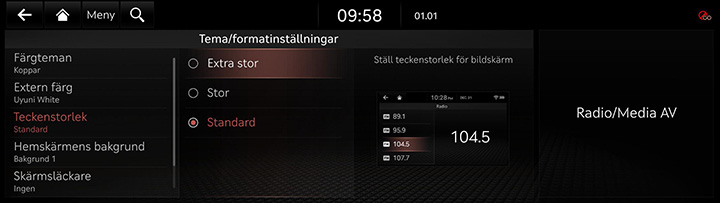 9_SETUP_10_THEME_3_FONT_SWE.jpg
