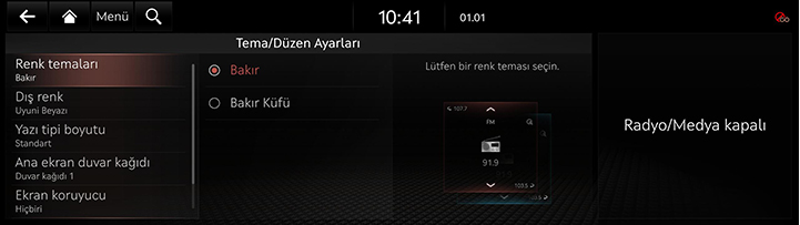 9_SETUP_10_THEME_1_GRAPHIC_TUR.jpg