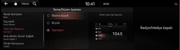 9_SETUP_10_THEME_3_FONT_TUR.jpg