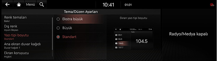 9_SETUP_10_THEME_3_FONT_TUR.jpg