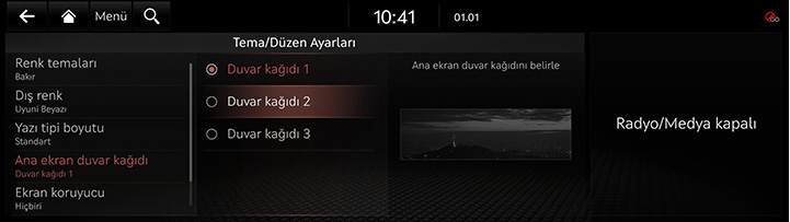 9_SETUP_10_THEME_4_HOME_TUR.jpg