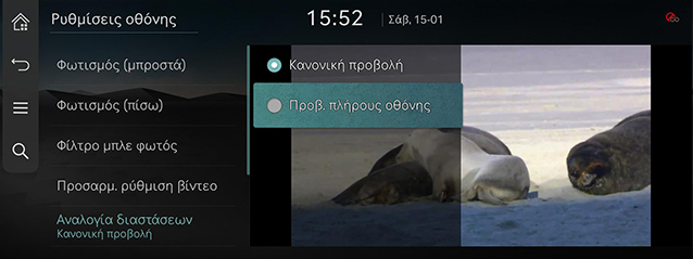 RS4_AVNT_gre_182-1_220123.jpg