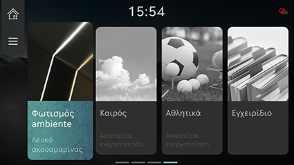RS4_AVNT_gre_240-1_220123.jpg