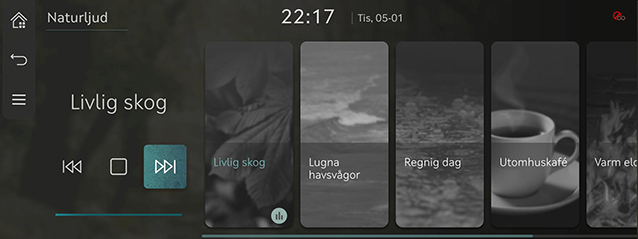 6_MEDIA_06_NATURE_SWE.jpg